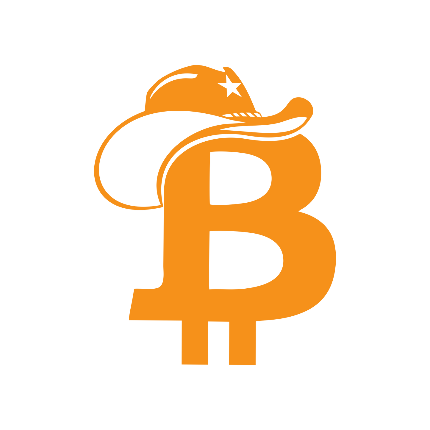 Silver Sponsor