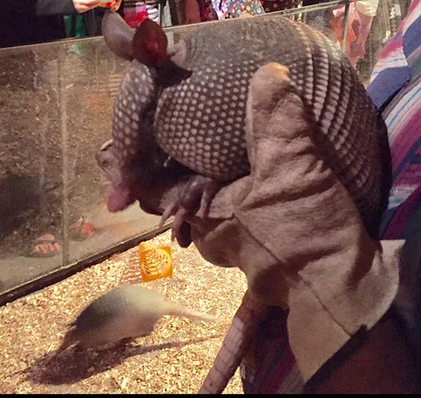 Sponsor the Armadillo Racing
